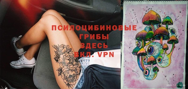 МДПВ Нея
