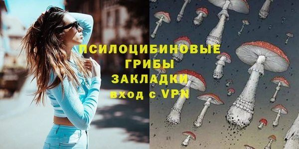 стафф Нефтекумск