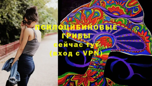 крисы Алексеевка