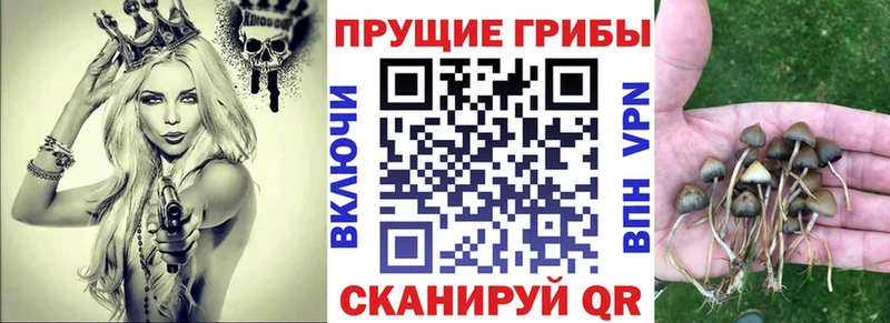 Галлюциногенные грибы мицелий  Нефтекумск 